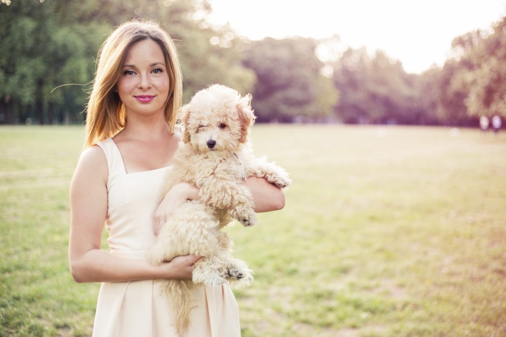 Beautiful young woman hugging puppy for a walk in the park in spring .